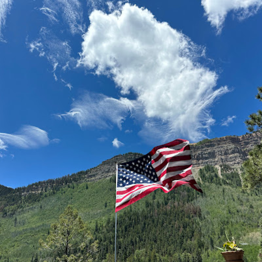 Meet your Posher, Gina